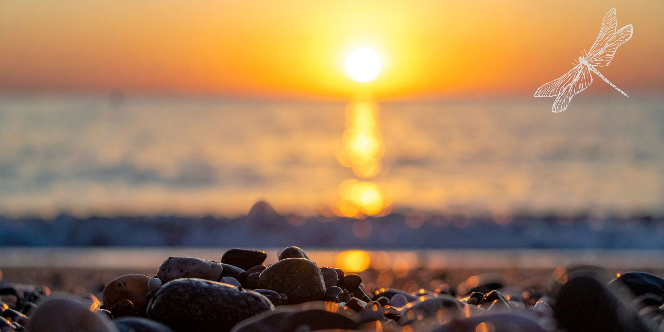 Service of Remembrance